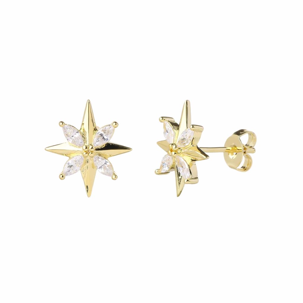 Earrings YISI2621-3-B