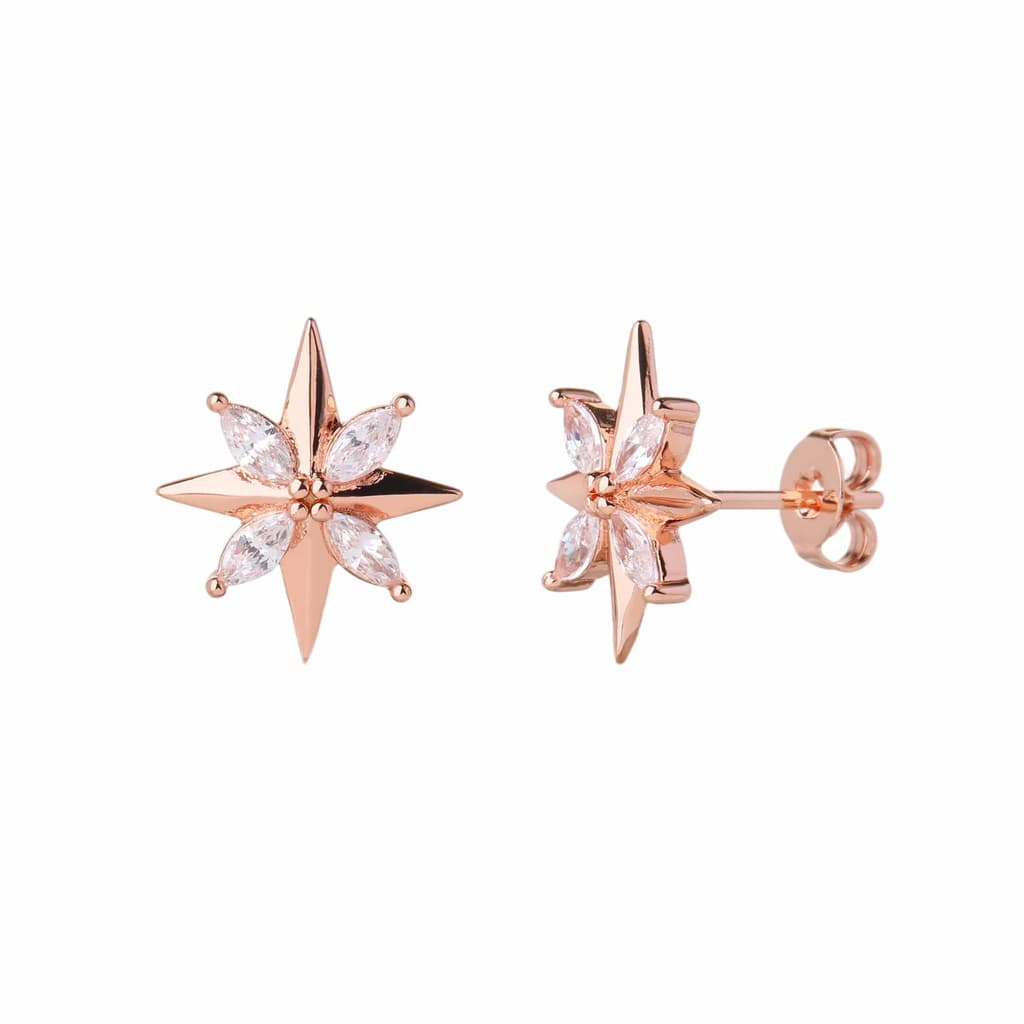 Earrings YISI2621-2-B
