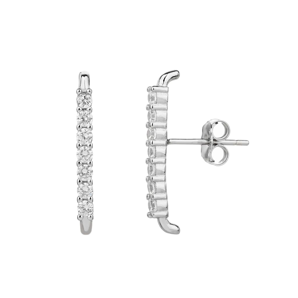 Earrings FLSI6008-1
