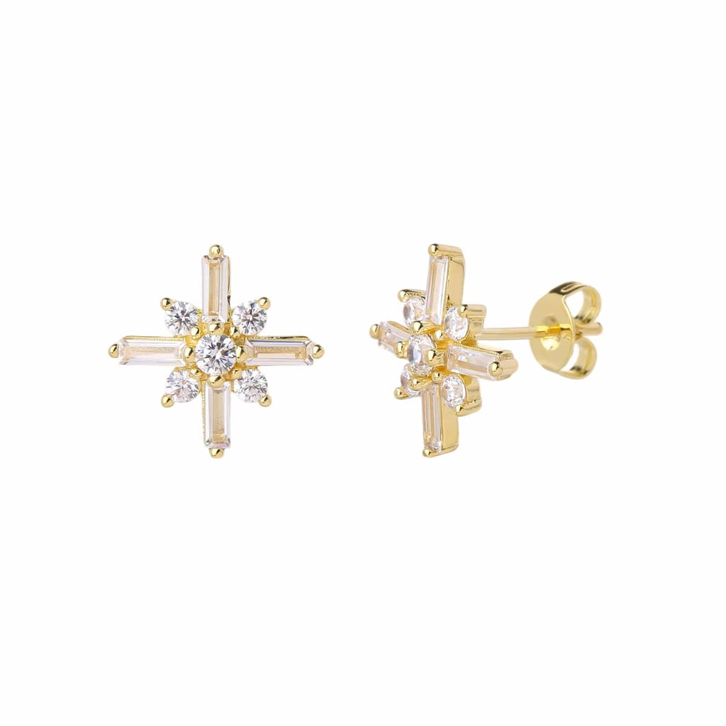 Earrings YISI2632-3-B