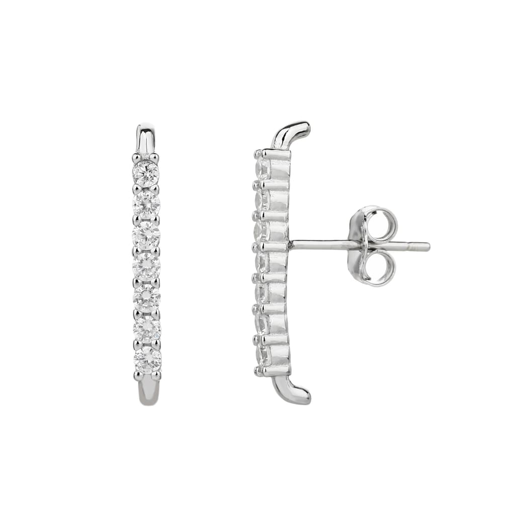 Earrings FLSI6008-1