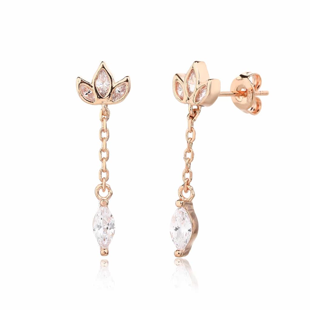 Earrings ZSI1059-2B