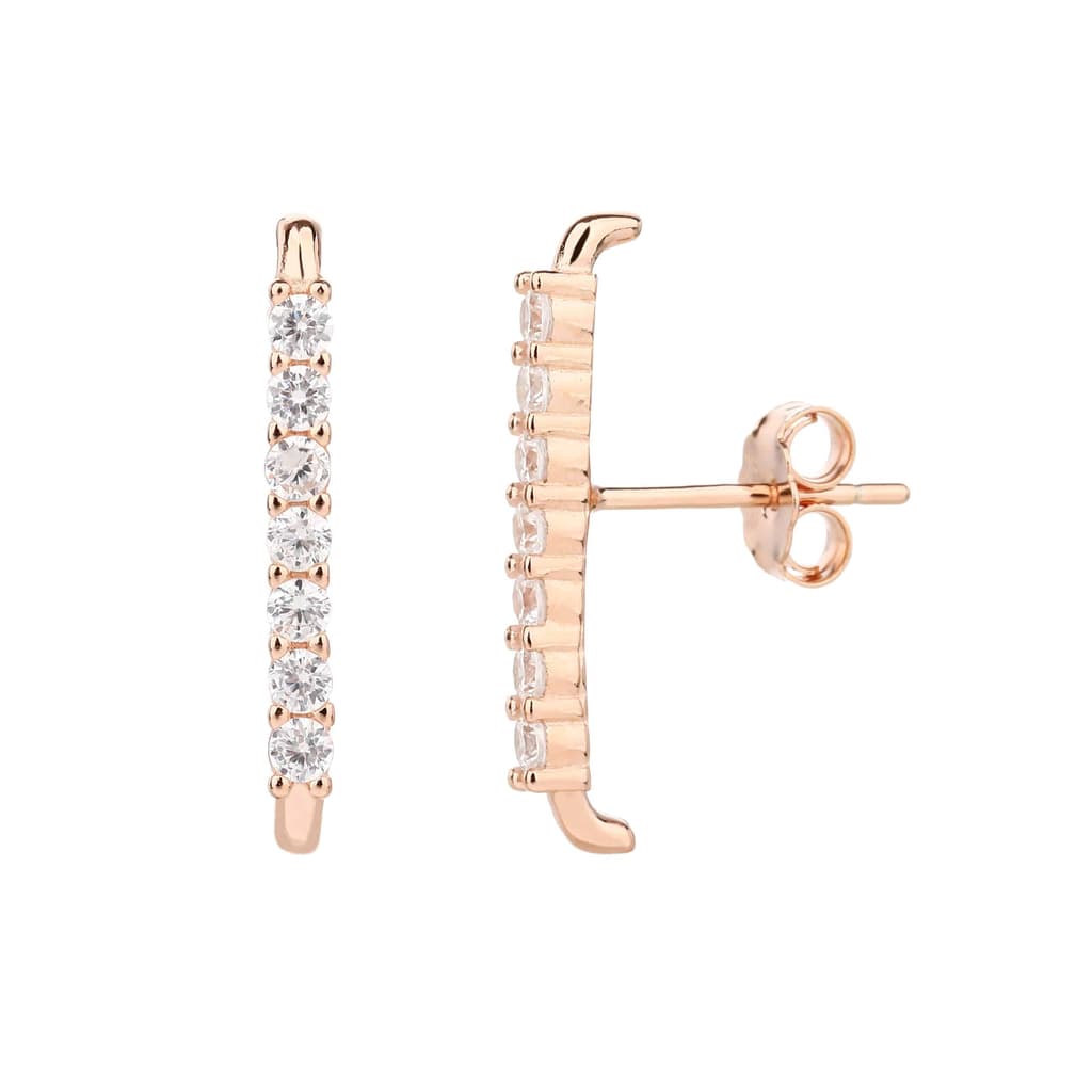 Earrings FLSI6008-2