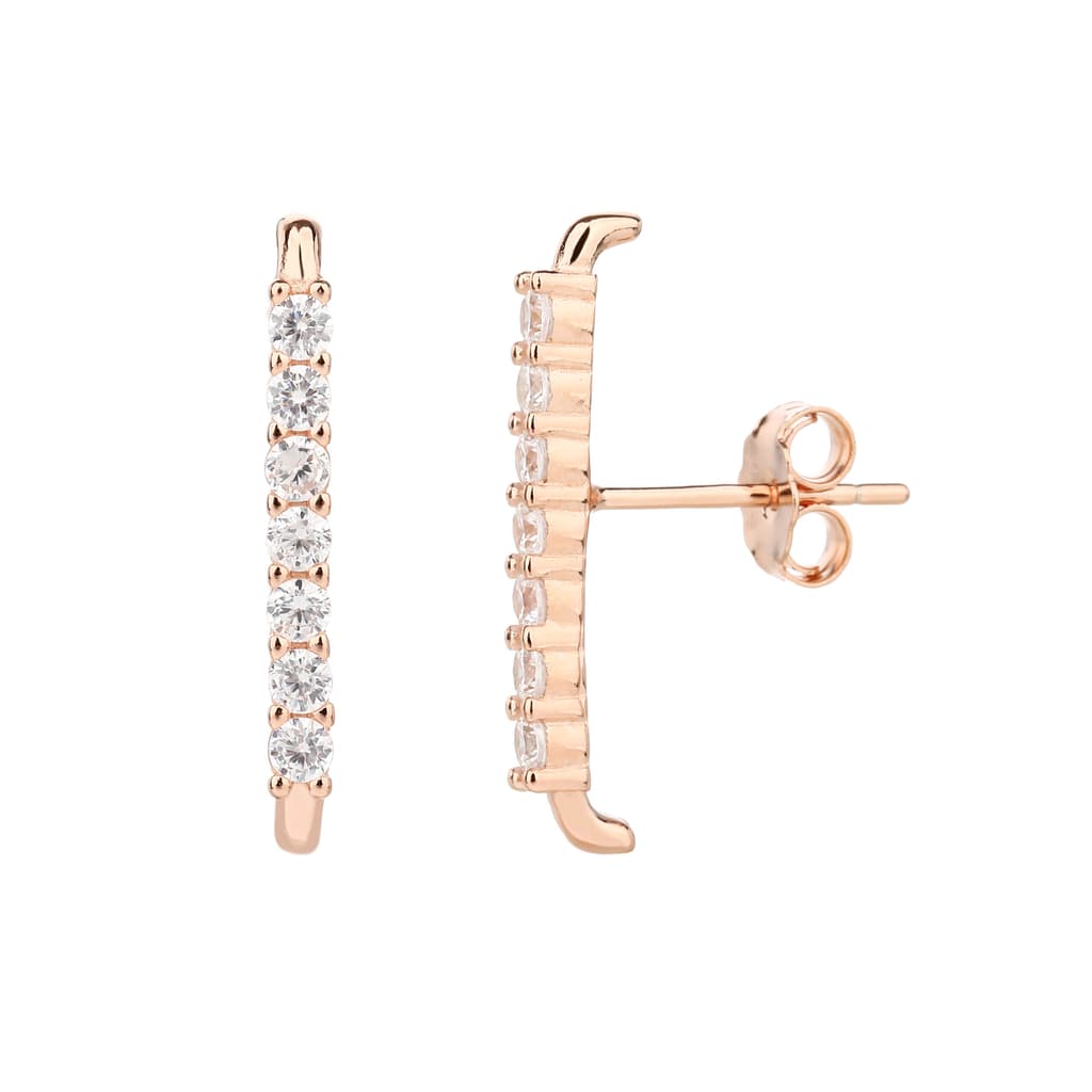 Earrings FLSI6008-2