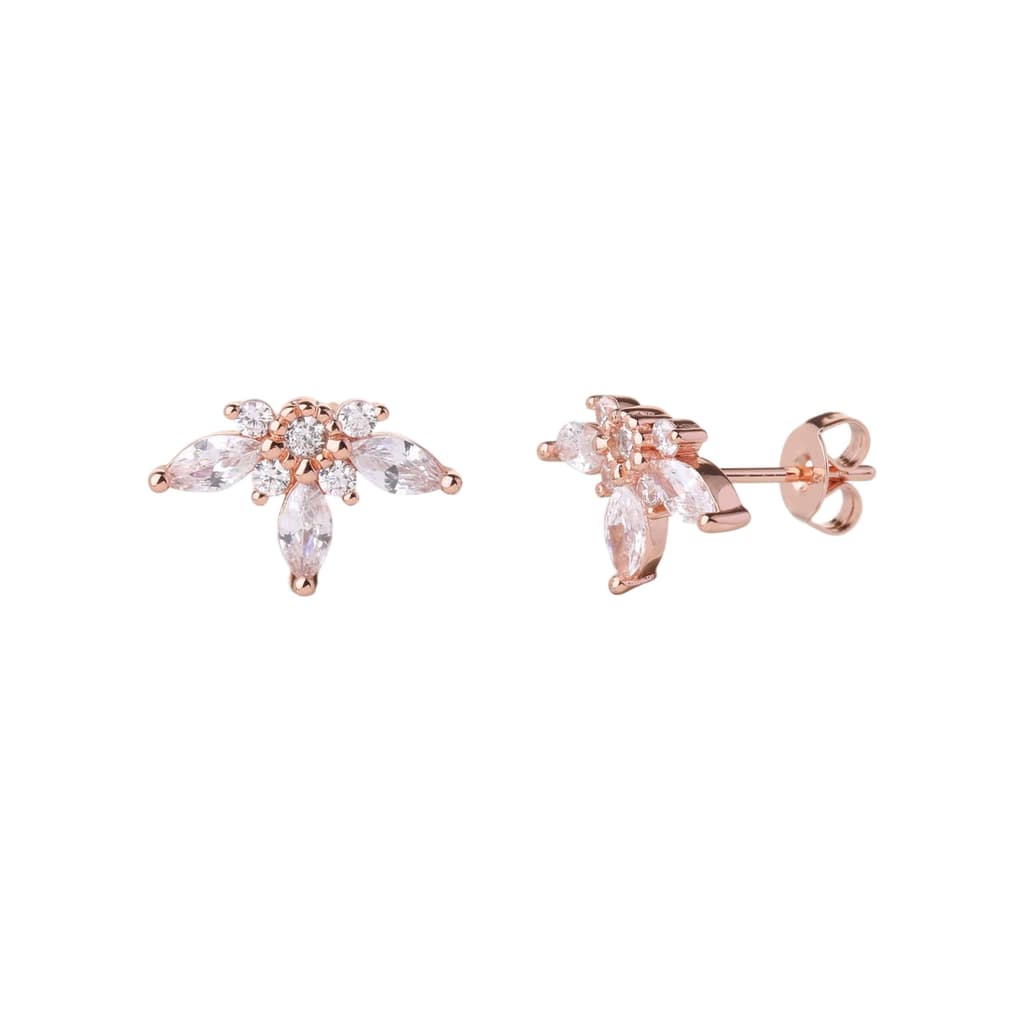 Earrings YISI2611-2-B