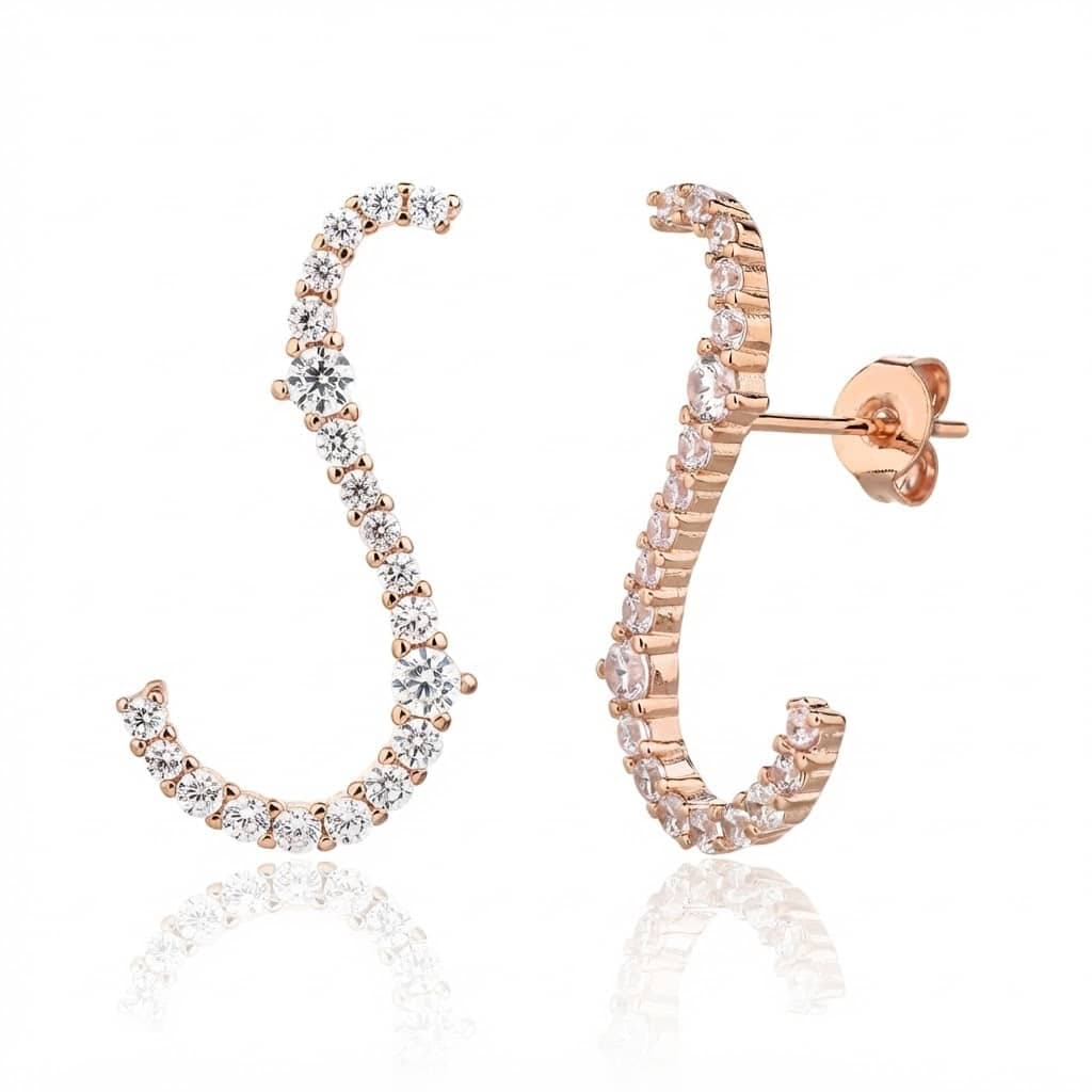 Earrings ZSI1075-2B